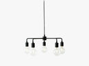 Leonard Chandelier, Sort