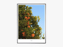 Vitaminé - Beautiful World Plakat
